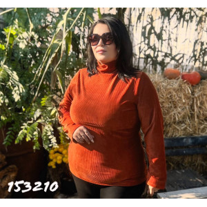 Женский гольф 1532 фото