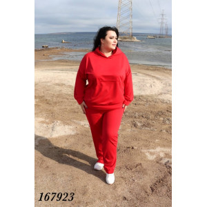 Спортивний костюм 1679 фото