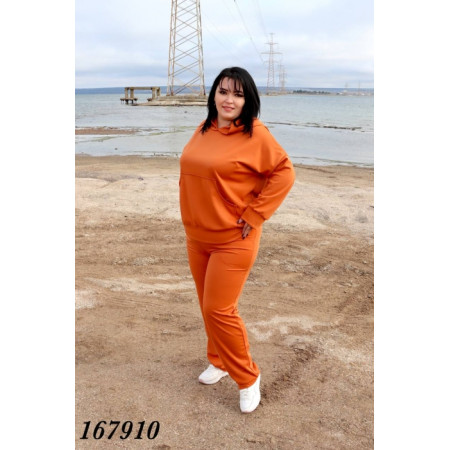 Спортивний костюм 1679
