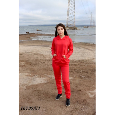 Спортивний костюм 1679