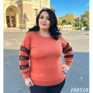Кофта 1685 Кофта 1685 фото