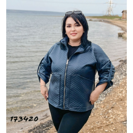 Демісизонна вітровка 1734