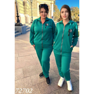 Спортивний костюм 727 фото