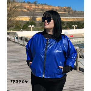 Демісизонна вітровка 1737 фото